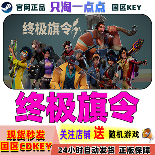Steam正版游戏 终极旗令 Last Flag 国区激活码