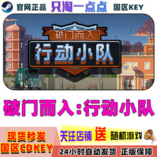 steam正版 PC中文游戏 国区KEY 破门而入:行动小队 动作休闲 模拟