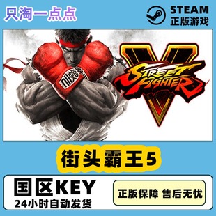 Fighter Street 街头霸王5 票 steam正版 街霸5第五年季 国区key