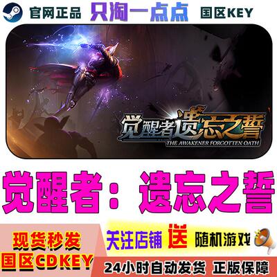Steam正版 觉醒者：遗忘之誓 The Awakener 国区激活码 现货秒发