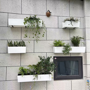 墙挂式 花盆挂墙长方形挂墙壁储水懒人自吸水挂墙上花箱植物墙壁挂