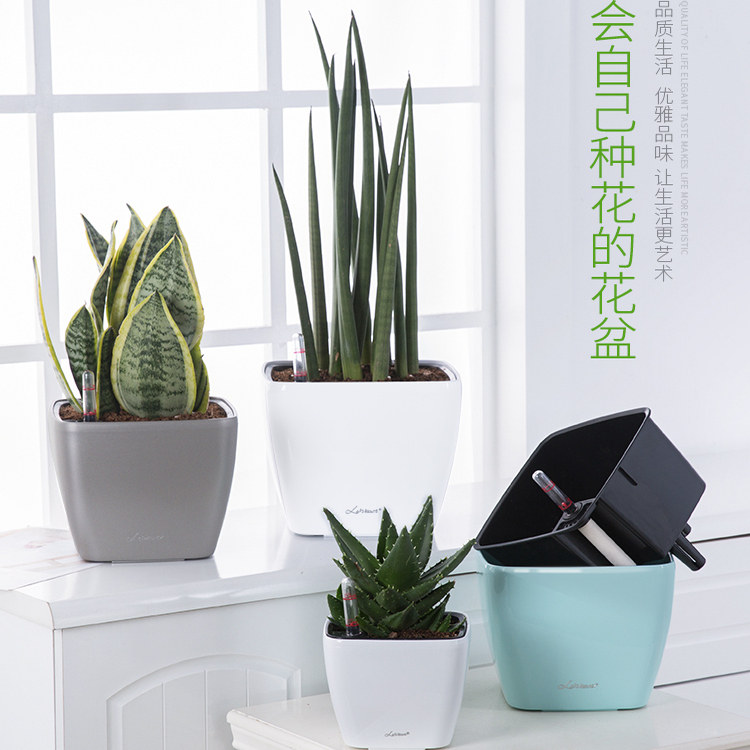 莱之秀懒人花盆自动吸水双层结构储水方形塑料无孔不漏水桌面小号