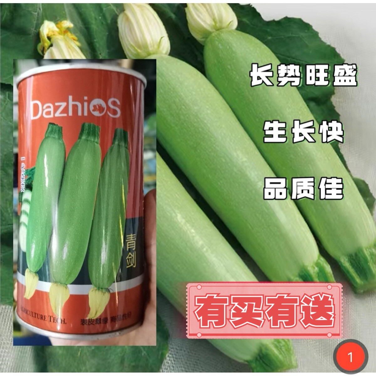 大志青剑西葫芦种子农家大田耐寒抗病油葫芦杂交西葫芦小占瓜种籽_虎窝淘