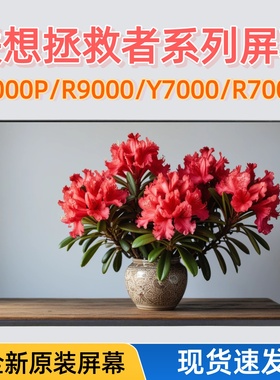 联想拯救者R9000P R9000X Y9000 Y7000P R7000P NE160QDM-NY1屏幕