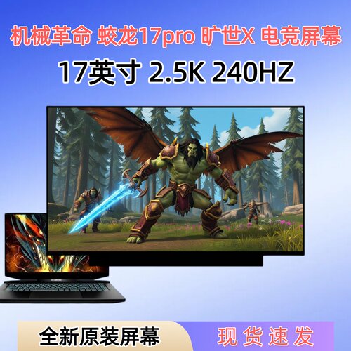 机械革命蛟龙17pro旷世X屏幕