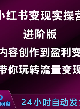 小xhs红书变现实操营进阶版:从内容创作到盈利变现,玩转流量变现
