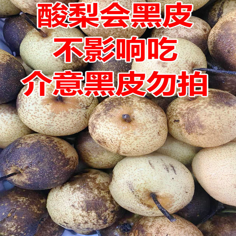 酸梨安梨东北特产正宗辽宁绥中酸梨 河北大酸梨5斤装多省包邮