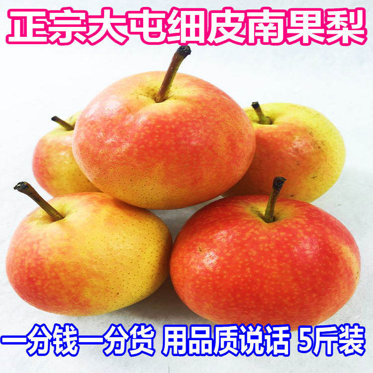 鞍山南果梨东北特产辽宁鞍山海城南国梨5斤装包邮酒香味多汁梨