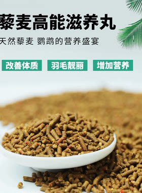 高能压力灰鹦鹉金刚葵花滋养丸