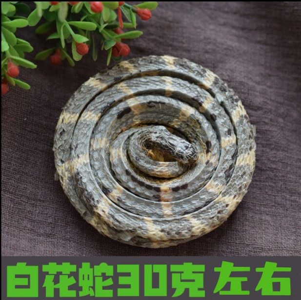 金钱白花蛇 白花蛇一条30克36元 泡酒料白花蛇