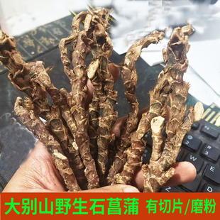 野生石菖蒲根 石昌蒲 正品 店里也有 苍术辛夷花销售500克