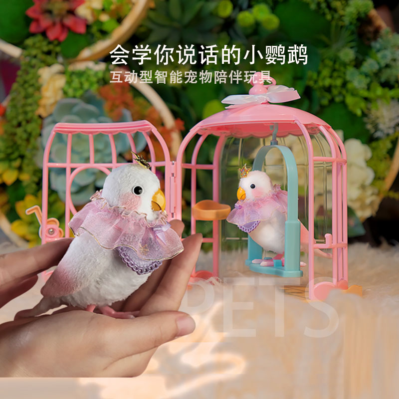 【韩国品牌】会学说话的小鹦鹉