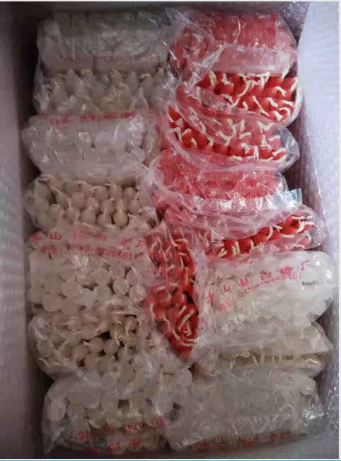 Bougie - Ref 2485504 Image 3