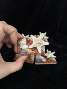 北海旅行好物北海文创 小棋盘贝壳旋转海星冰箱贴 手工贝壳冰箱贴