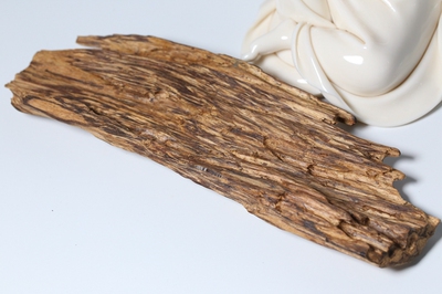 加里曼丹 老熟结香  45.9G  20CM长