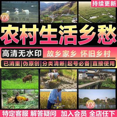 农村生活故乡怀念怀旧家乡愁农民工种庄稼自然风景高清短视频素材