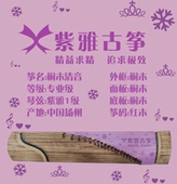 紫雅古筝桐木清音古筝琴初学者入门素面儿童成人越级竞争音色好