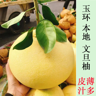 孕妇儿童吃的水果新鲜当季蜜柚正宗玉环文旦柚子清港垟根酸甜可口