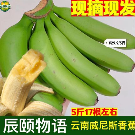 辰颐物语云南威尼斯精选绿皮香蕉应季时令新鲜水果自然熟整箱包邮