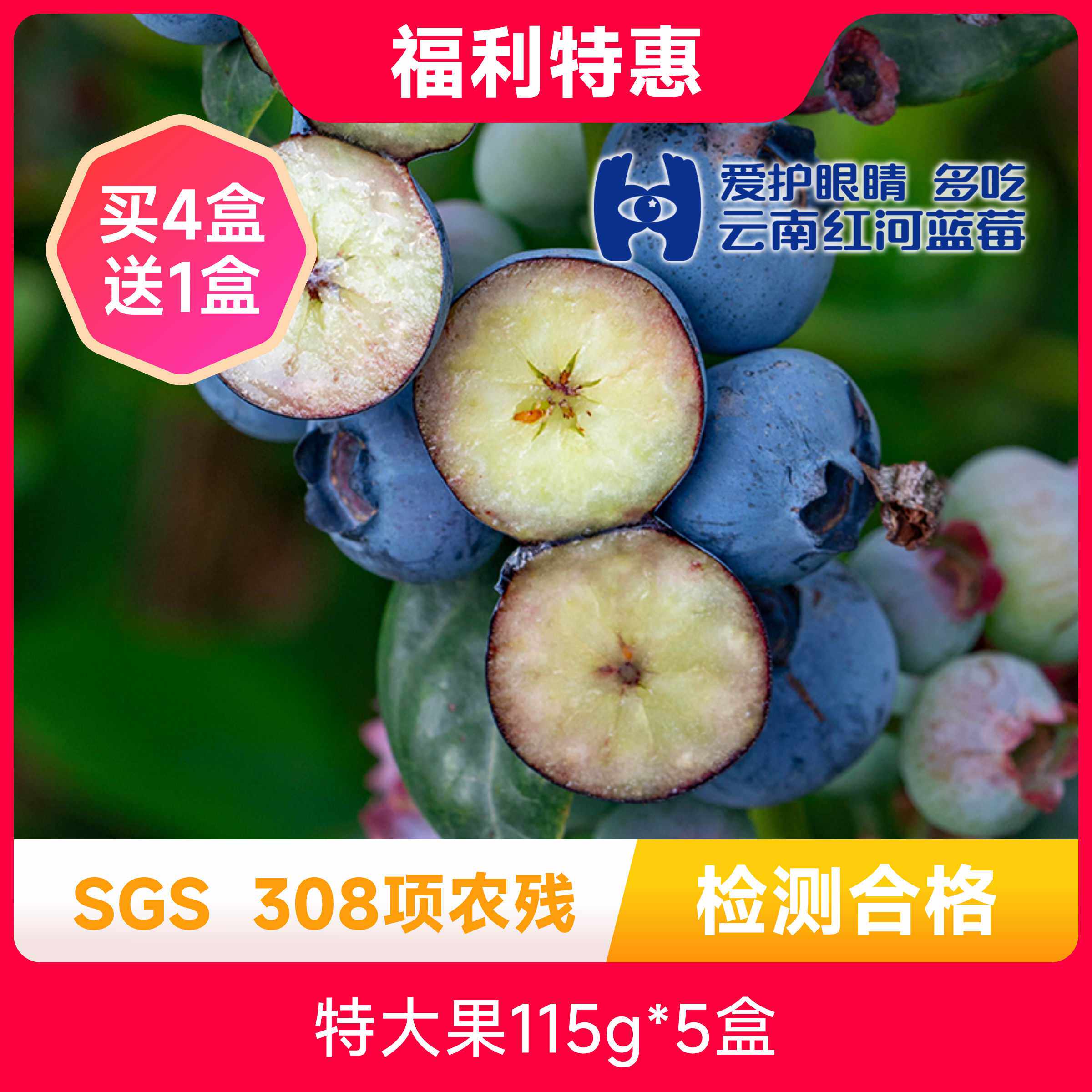 辰颐物语云南花香味蓝莓115g*4盒新鲜水果蓝梅霉蓝靛果山包邮