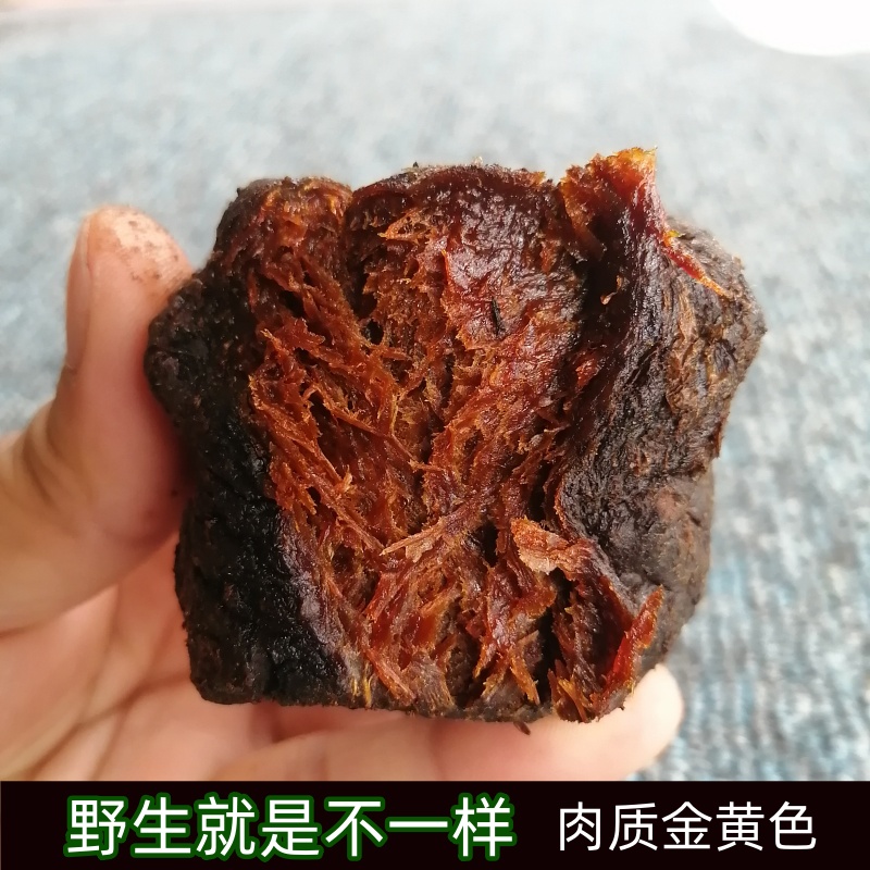 无染色老个头黄精肉质金黄色