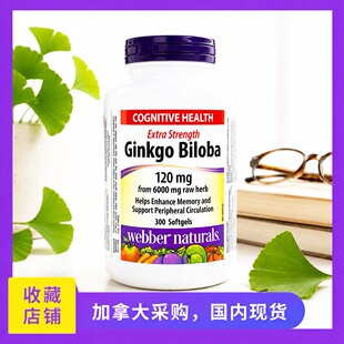 加拿大伟博Ginkgo银杏叶精华胶囊针对中老年人记忆力300粒