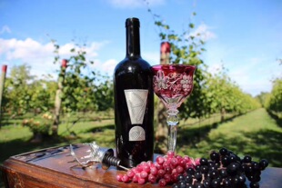 现货,加拿大PiIlitteri派利特瑞 “惊叹号”赤霞珠干红葡萄酒750