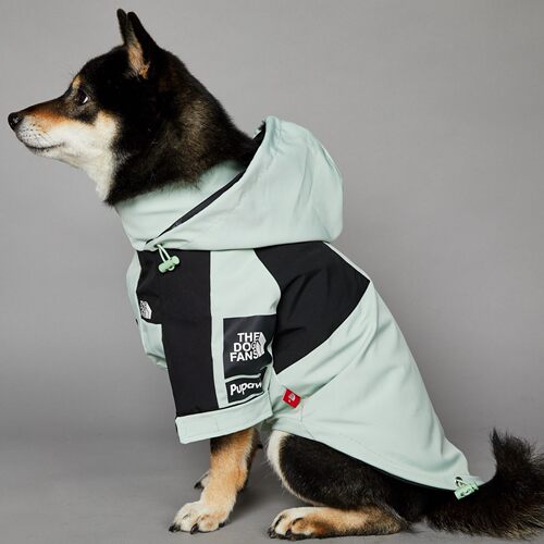 浅绿dog face潮牌防风防雨狗面新款狗狗衣服狗狗冲锋衣雨衣防水