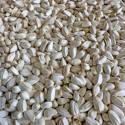 红花籽 红花子玄凤牡丹太阳虎皮鸟食鸟粮鸽粮仓鼠宠物粮食5斤