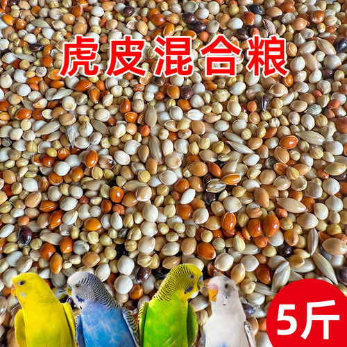 虎皮鹦鹉专用营养粮5斤