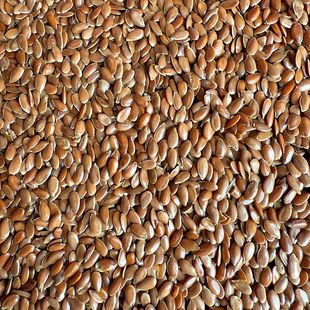 亚麻籽 生亚麻籽仁 棕色亚麻籽 胡麻子籽 虎皮玄凤 鹦鹉鸟粮鸟食