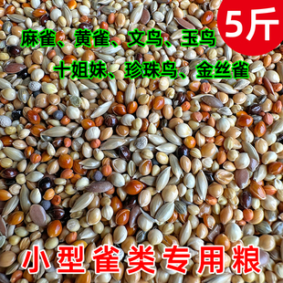 七彩文鸟 芙蓉鸟 金丝雀鸟 珍珠鸟芙蓉鸟玉鸟食混合鸟食鸟粮饲料
