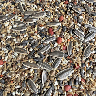 大型鹦鹉鸟食饲料 鸟粮 灰鹦鹉粮食 自配混合粮 纸壳麻子纸皮麻子