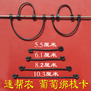 塑料抗老化挂钩卡扣葡萄绑枝卡 葡萄绑枝卡子速帮农新式 葡萄套袋