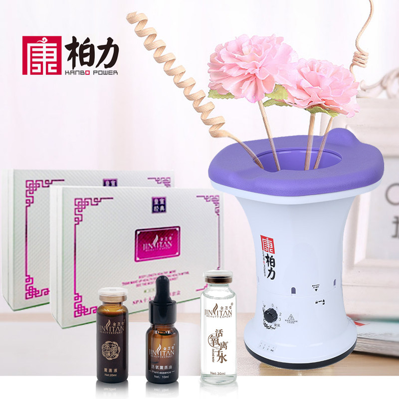 坐浴熏蒸桶家用私处会阴坐薰仪器多功能女性私密护理艾灸套盒养生