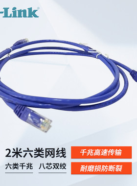 友讯D-Link六类非屏蔽多股跳线