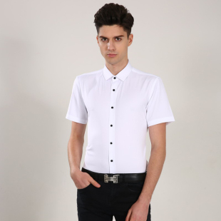 弹力天丝棉短袖 44码 衬衫 纯色衬衣男装 思维伯格男士