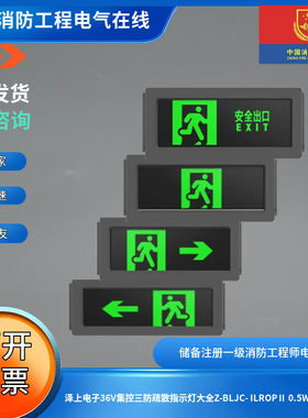 泽上电子36V集控三防疏散指示灯大全Z-BLJC- ILROPⅡ 0.5W-1410P