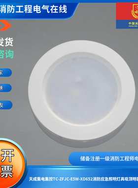 天成集电集控TC-ZFJC-E5W-XD652消防应急照明灯具吸顶明装应急灯