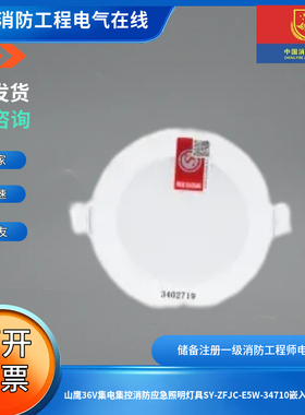 山鹰36V集电集控消防应急照明灯具SY-ZFJC-E5W-34710嵌入式应急灯