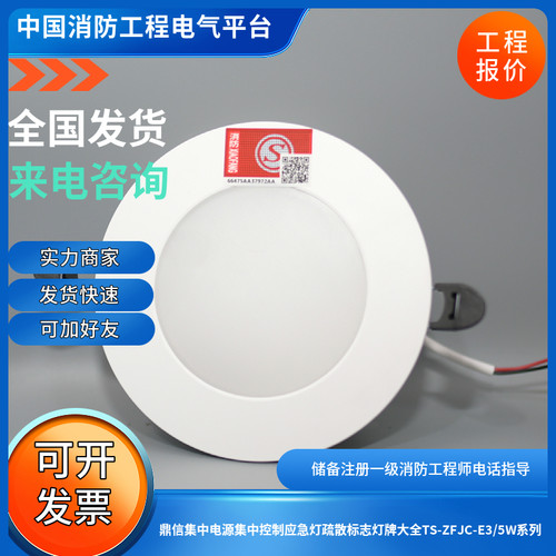 鼎信原厂正品36V集电集控应急灯TS-ZFJC-E3/5W壁挂嵌入吸顶系列