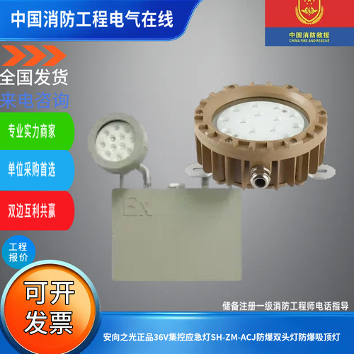 安向之光正品36V集控应急灯SH-ZM-ACJ防爆双头灯防爆吸顶灯