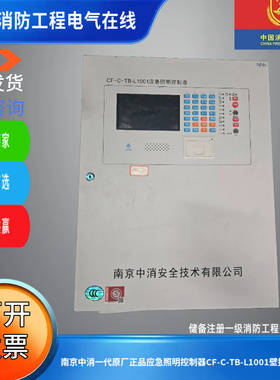 南京中消一代原厂正品应急照明控制器CF-C-TB-L1001壁挂应急主机