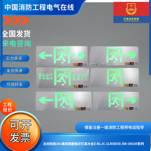 左向科技36v集控疏散指示灯具大全Z-BLJC-1LROEII0.5W-I401M系列