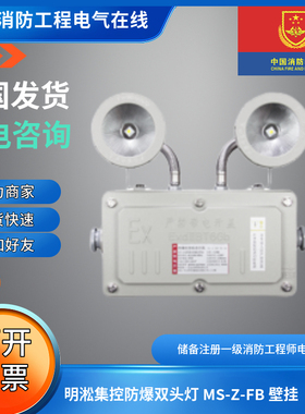 明淞MS-Z-FB防爆双头应急灯集控防爆双头灯MS-Z-FB壁挂（单面）