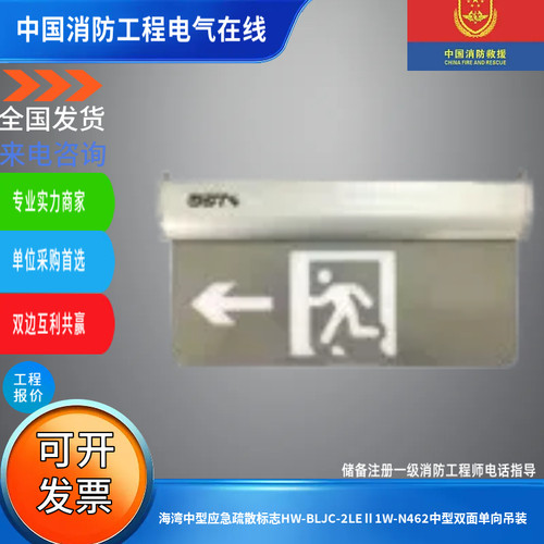 海湾中型应急疏散标志HW-BLJC-2LEⅡ1W-N462中型双面单向吊装