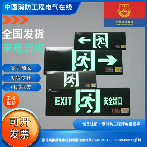 鼎信原厂正品集电集控疏散指示灯具TS-BLZC-1LEII0.5W-B002Y系列