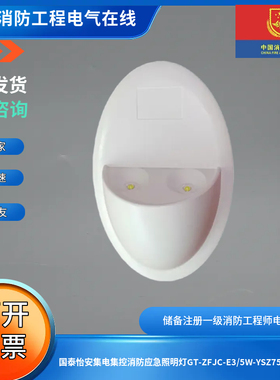 国泰怡安集电集控消防应急照明灯GT-ZFJC-E3/5W-YSZ756壁挂式