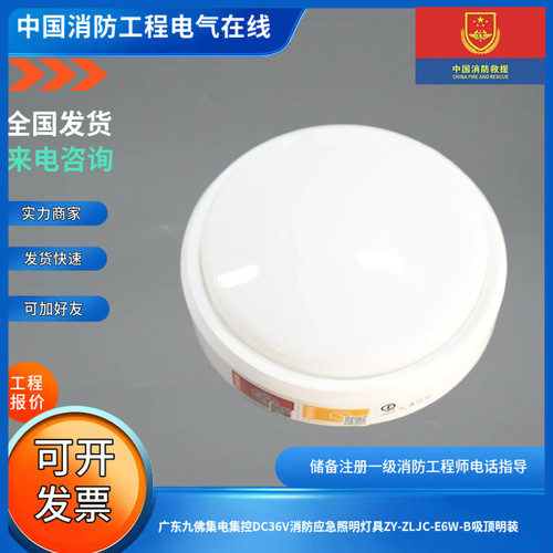 广东九佛集电集控DC36V消防应急照明灯具ZY-ZLJC-E6W-B吸顶明装