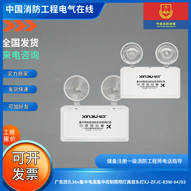 广东欣久36v集中电源集中控制照明灯具双头灯XJ-ZFJC-E5W-04/03